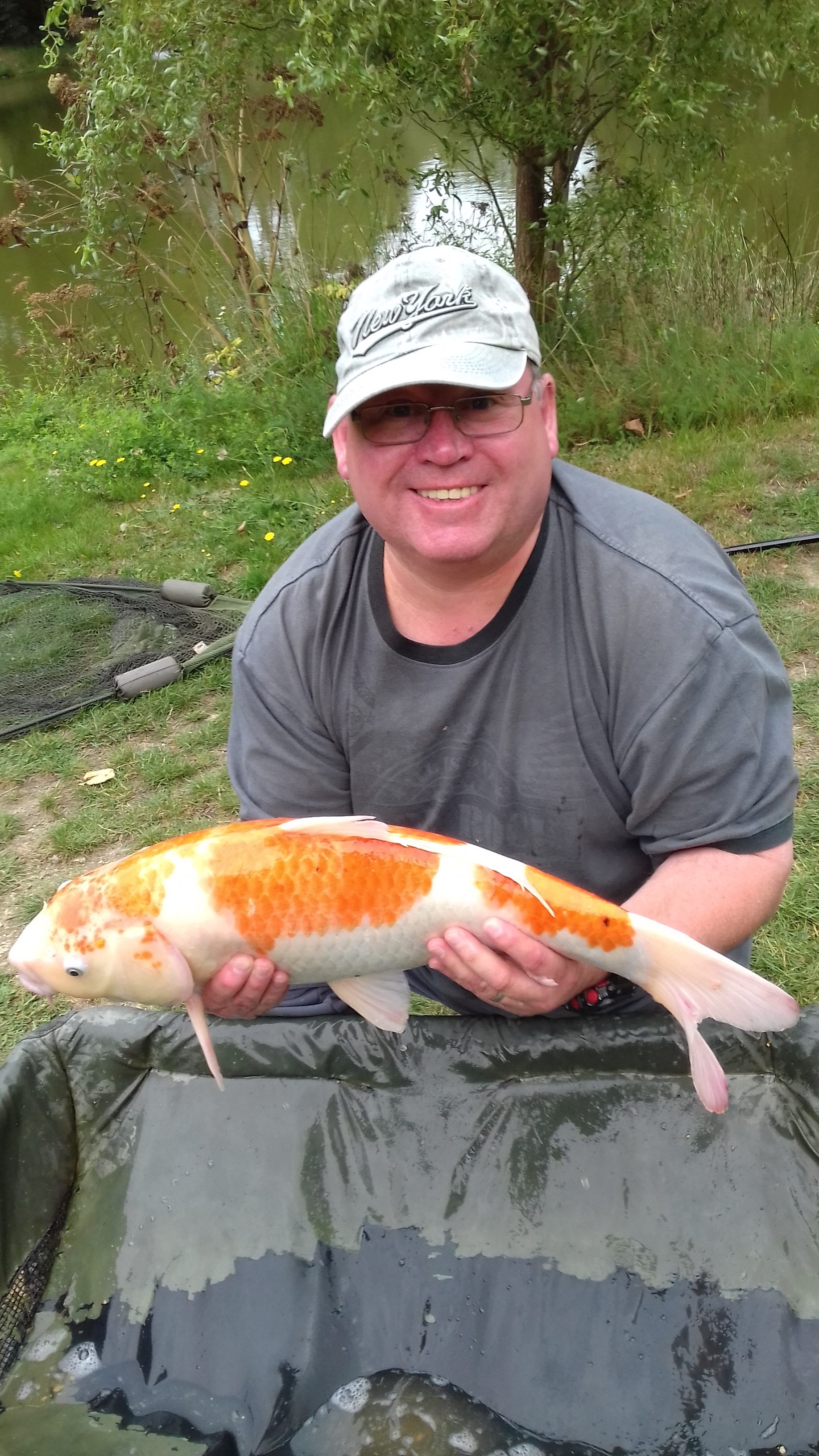 10lb Koi